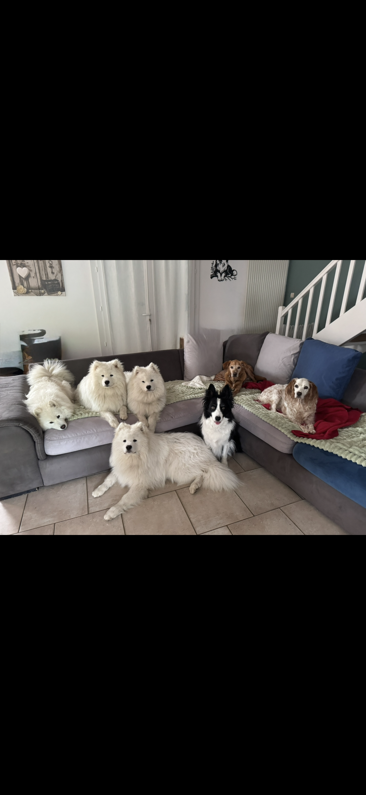 Plume Anoe Apy Alfie perle choupa et lincon